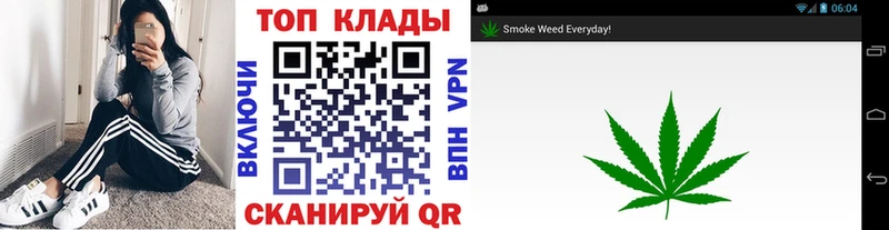 Что такое Боровичи КОКАИН  Alpha-PVP  Мефедрон  ГАШ  MDMA  Канабис 