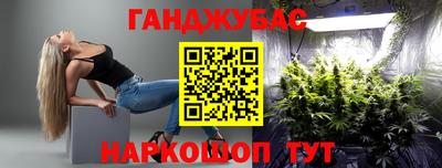 мдпв Гатчина