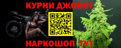 мдпв Гатчина