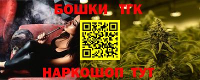 мдпв Гатчина