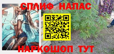 мдпв Гатчина