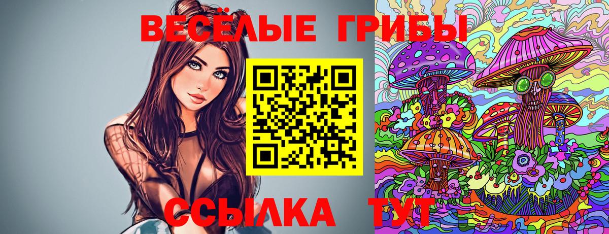 Псилоцибиновые грибы Cubensis  Галлюциногенные грибы мухоморы  закладки  Боровичи  Вход с VPN 