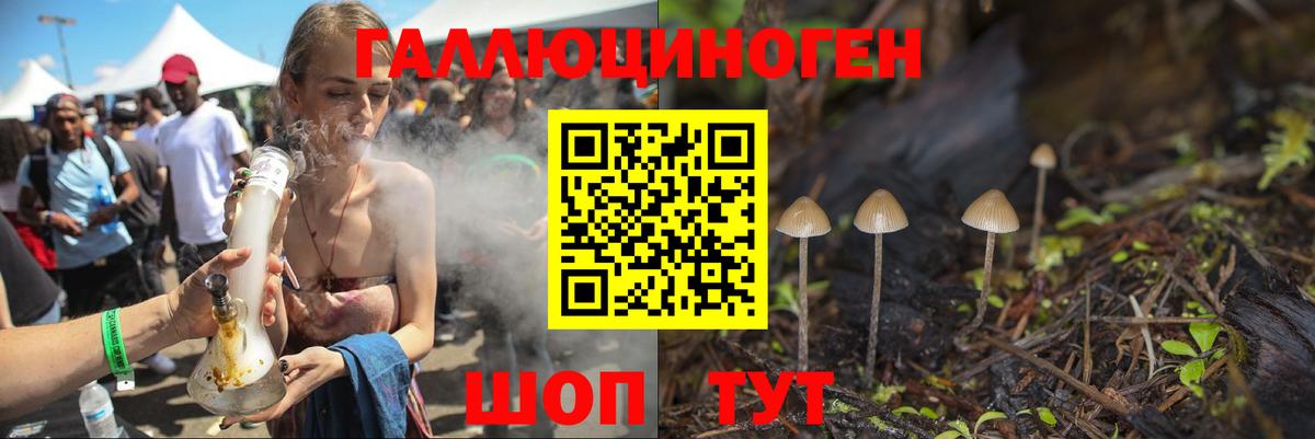 Галлюциногенные грибы MAGIC MUSHROOMS Боровичи